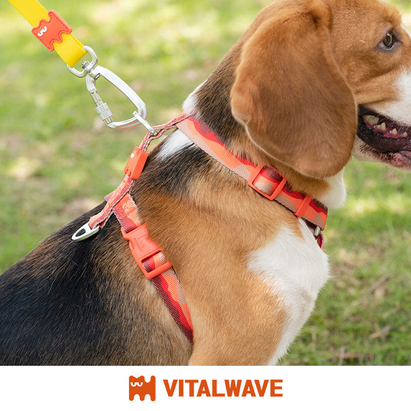 Multi-functional 3-in-1 leash
