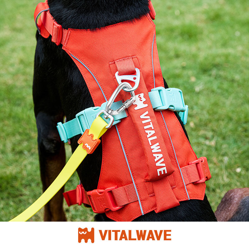 Multi-functional 3-in-1 leash